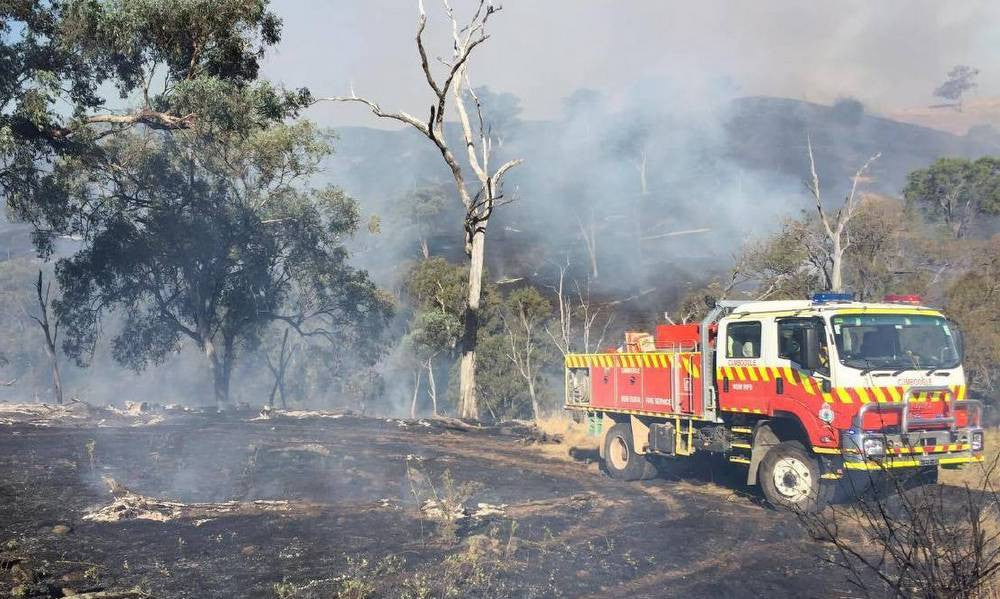 The Bushfire